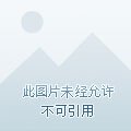 《和敌国质子HE了》