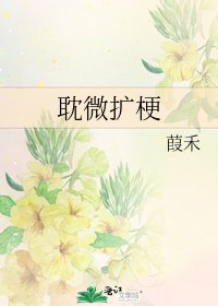 《耽微扩梗》