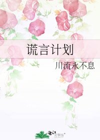 《谎言计划》