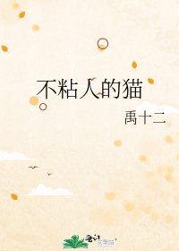 《不粘人的猫》