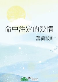 《命中注定的爱情》