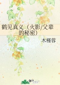 《鹤见真义(火影/父辈的秘密)》