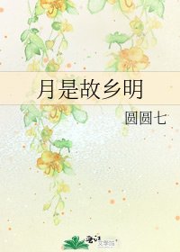《月是故乡明》