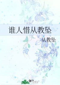《谁人惜从教坠》