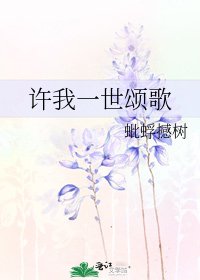 《许我一世颂歌》