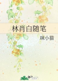 《林肖白随笔》