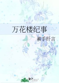 《万花楼纪事》