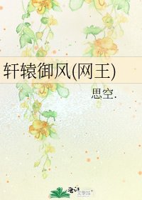 《轩辕御风(网王)》