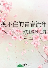《挽不住的青春流年》