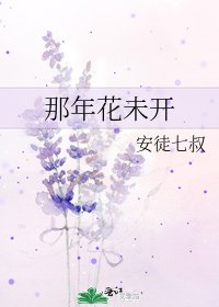 《那年花未开》