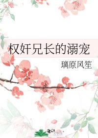 《权奸兄长的溺宠》