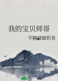 《我的宝贝师哥》