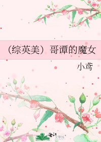 《(综英美)哥谭的魔女》
