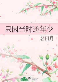 《只因当时还年少》