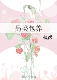 《另类包 养》