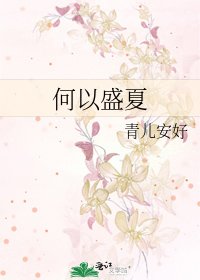 《何以盛夏》
