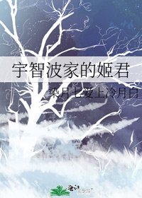 《宇智波家的姬君》