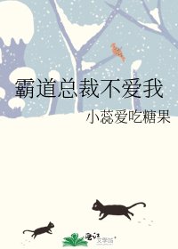 霸道总裁不爱我