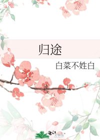 《归途》