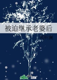 《被迫继承老婆后》