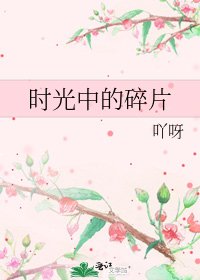 《时光中的碎片》