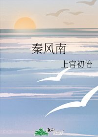 《秦风南》