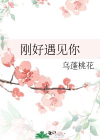 《刚好遇见你》