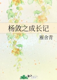 《杨敛之成长记》