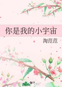 《你是我的小宇宙》