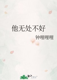 《他无处不好》