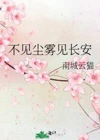 《不见尘雾见长安》