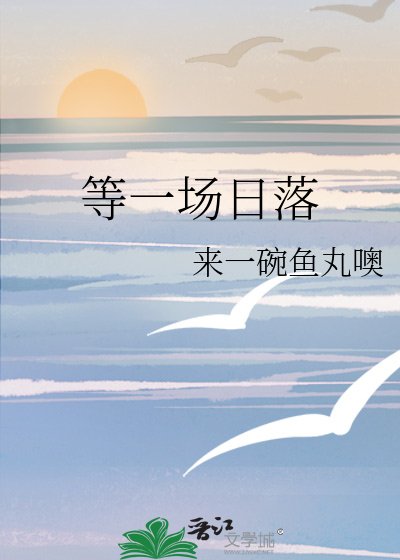 《等一场日落》