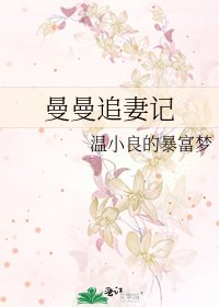 曼曼追妻记