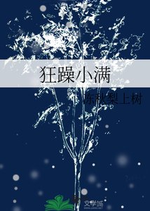 《狂躁小满》