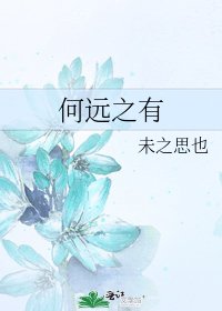 《何远之有》