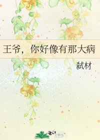 《王爷,你好像有那大病》