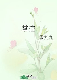 《掌控》