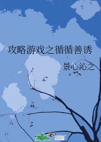 攻略游戏之循循善诱