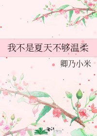 《我不是夏天不够温柔》