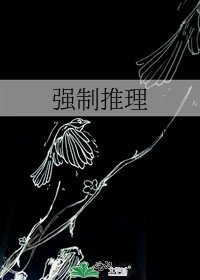 《强制推理》