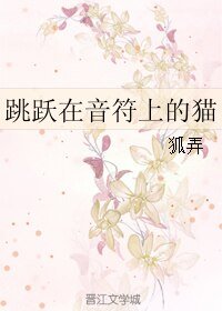 跳跃在音符上的猫
