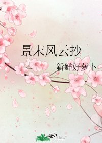 《景末风云抄》