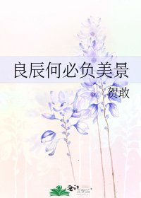 《良辰何必负美景》