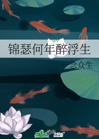 锦瑟何年醉浮生