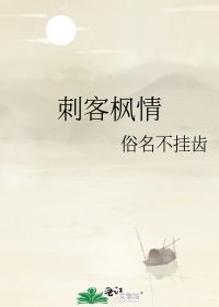 《刺客枫情》