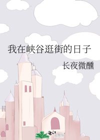 《我在峡谷逛街的日子》