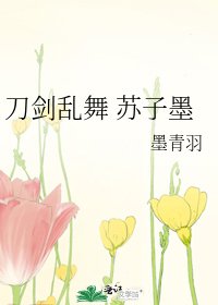 《刀剑乱舞 苏子墨》