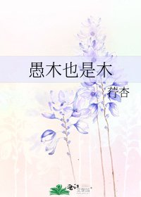 《愚木也是木》