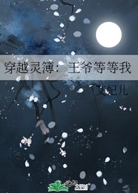 《穿越灵簿:王爷等等我》