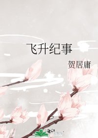 《飞升纪事》